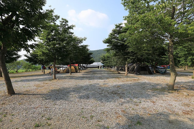 자연애캠핑장 시설 사진 12