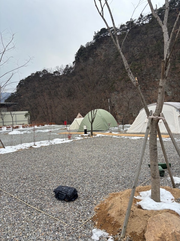 250116 양평 숲이야 캠핑장 재방문 후기