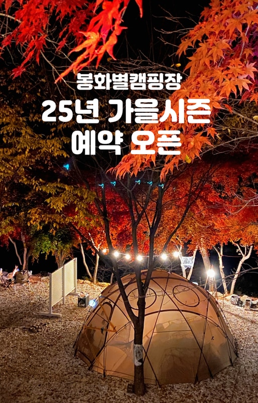 8/1 오전 10시 봉화별캠핑장 가을예약 오픈
