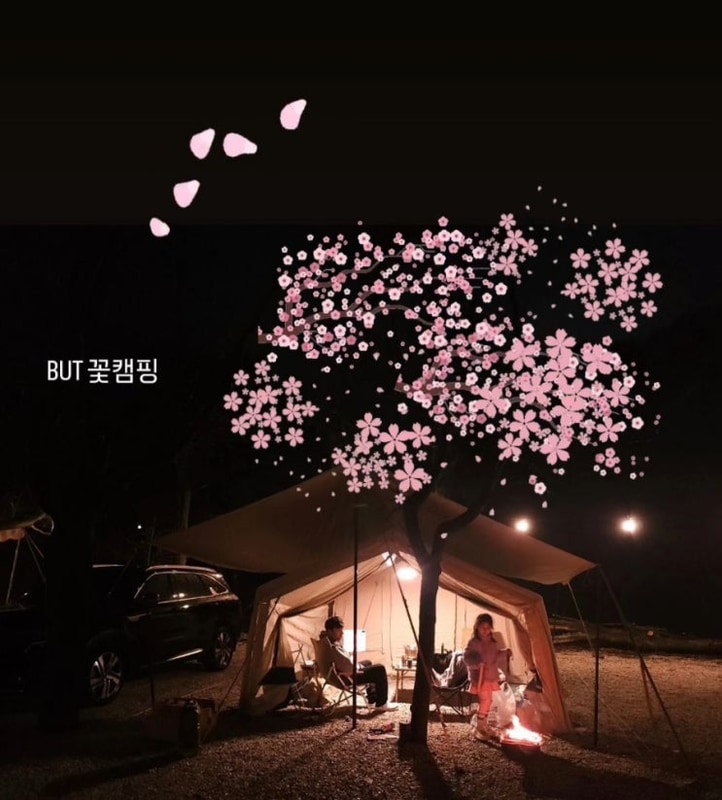 포천 딥포레스트 캠핑장 |   벚꽃캠핑장 포천 캠핑 키즈놀이터...