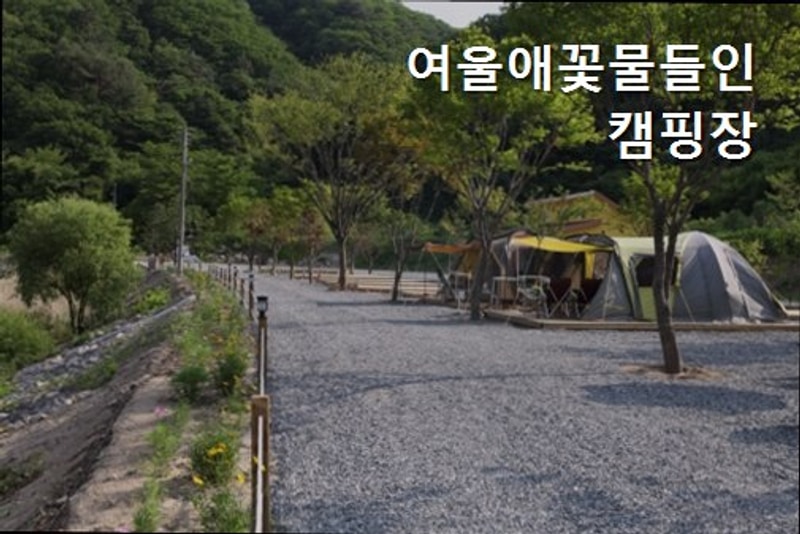 [철원 캠핑장] 여울애꽃물들인캠핑장 자연 속 힐링 공간