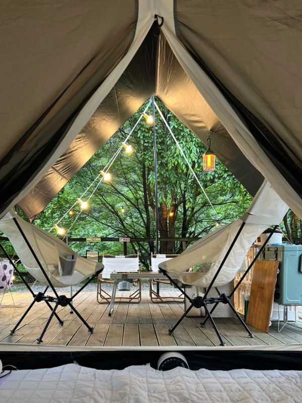 여름 가평 캠핑장 추천｜물골숲 계곡캠핑장 후기 (강아지 동반)