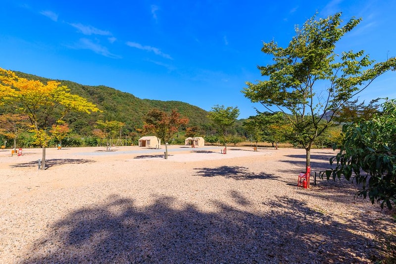 돌고래 오토 캠핑장 시설 사진 14