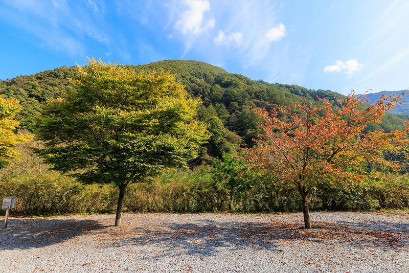 월악산억수솔밭캠핑장 시설 사진 13
