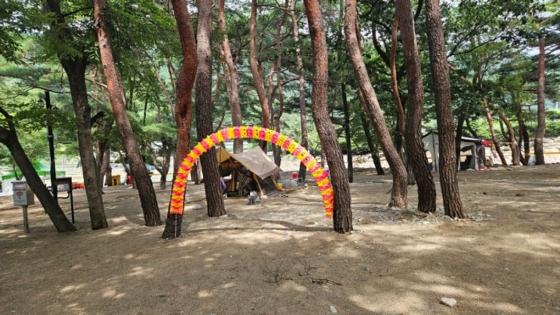 경남계곡 산청물놀이 대포숲캠핑장 추천