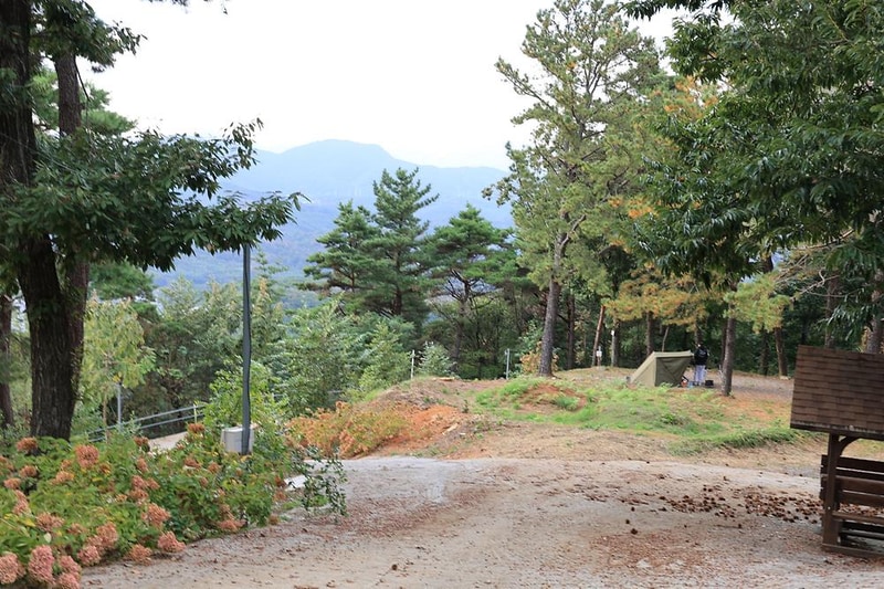 금오산 관광농원 시설 사진 6