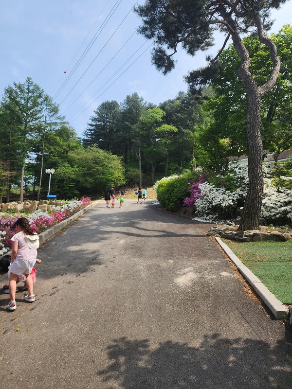 코알라캠핑장 시설 사진 19