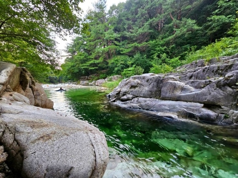 포천 도마치 계곡 "도마치 자연 그대로 캠핑장"