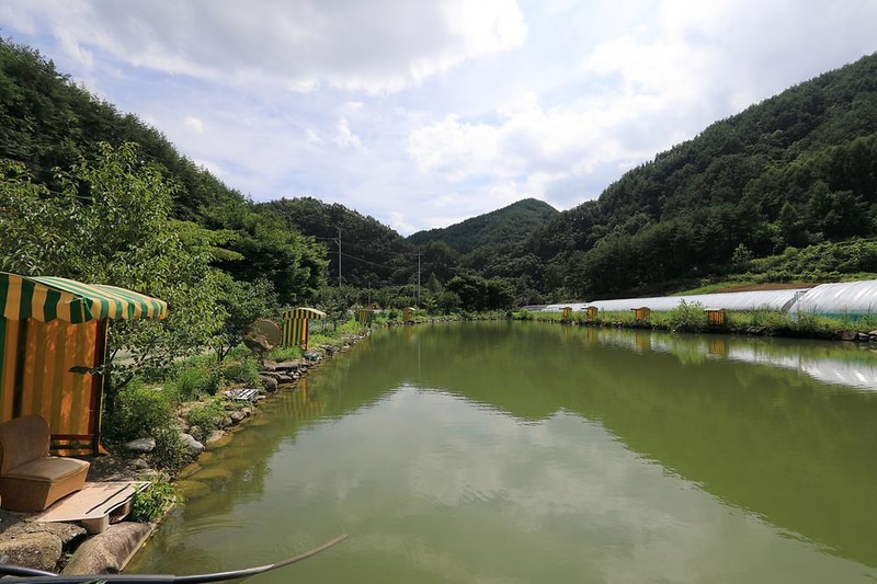 산골펜션캠핑장 시설 사진 4