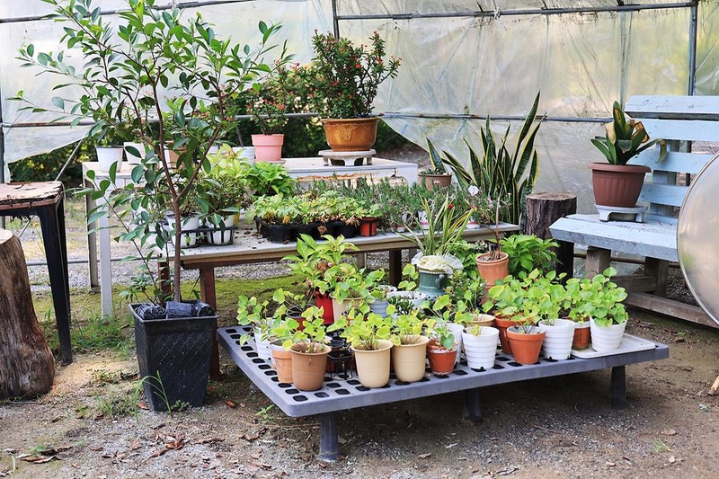 초리풍경 시설 사진 7