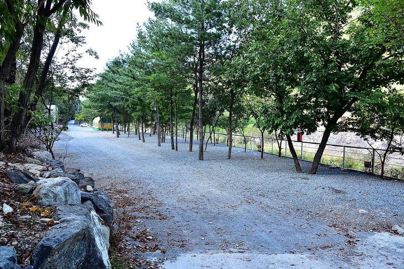 하얀숲 오토&글램핑 시설 사진 7