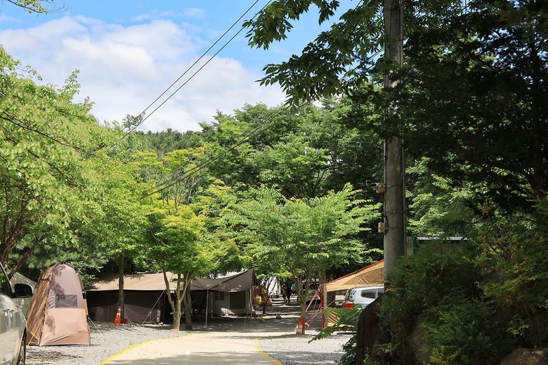 맑은물소리캠핑장 시설 사진 26