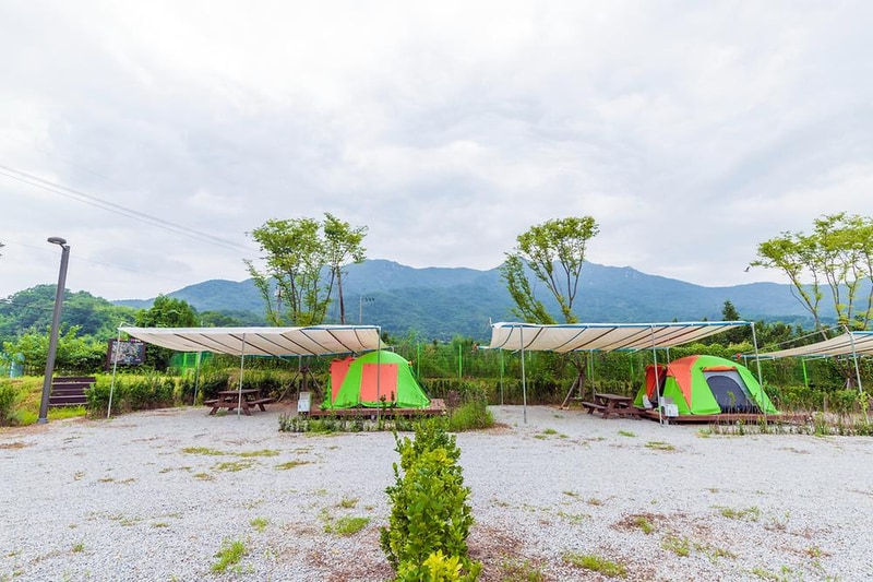 상주 감꽃마을 서울캠핑장 시설 사진 1