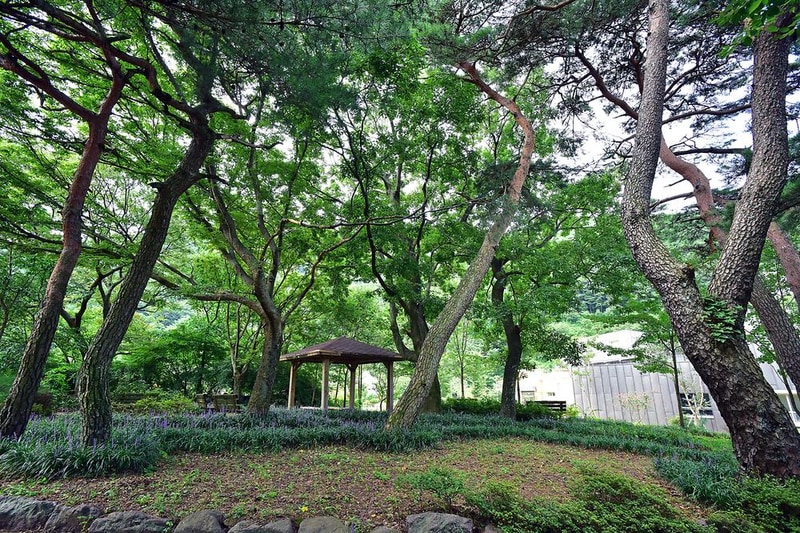 천하장사골야영장 시설 사진 10