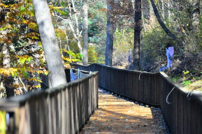 국립유명산자연휴양림(일반) 시설 사진 15