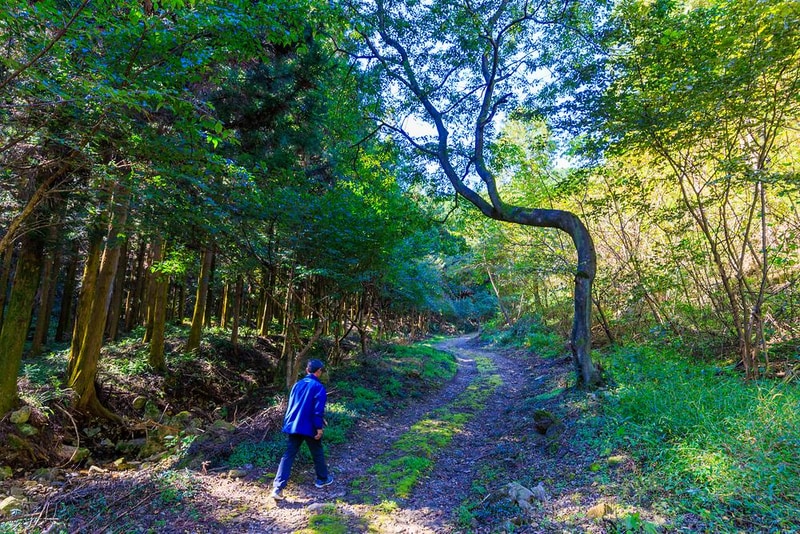 마실야영장 시설 사진 3