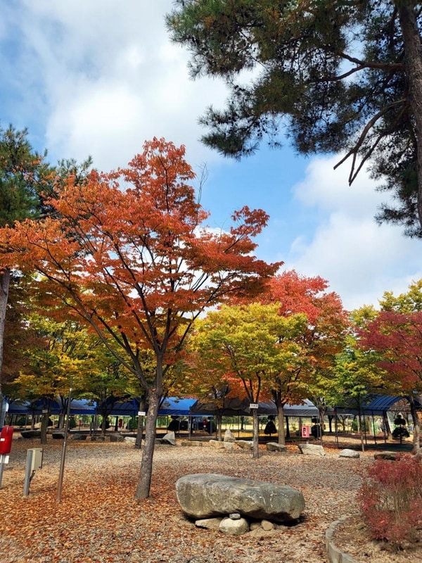 하오재캠핑장 시설 사진 5