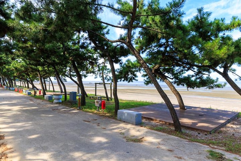 동호 국민여가캠핑장 대표 사진