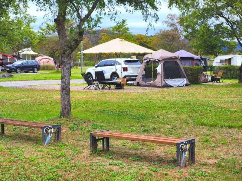 여주 이포보캠핑장 사이트정보