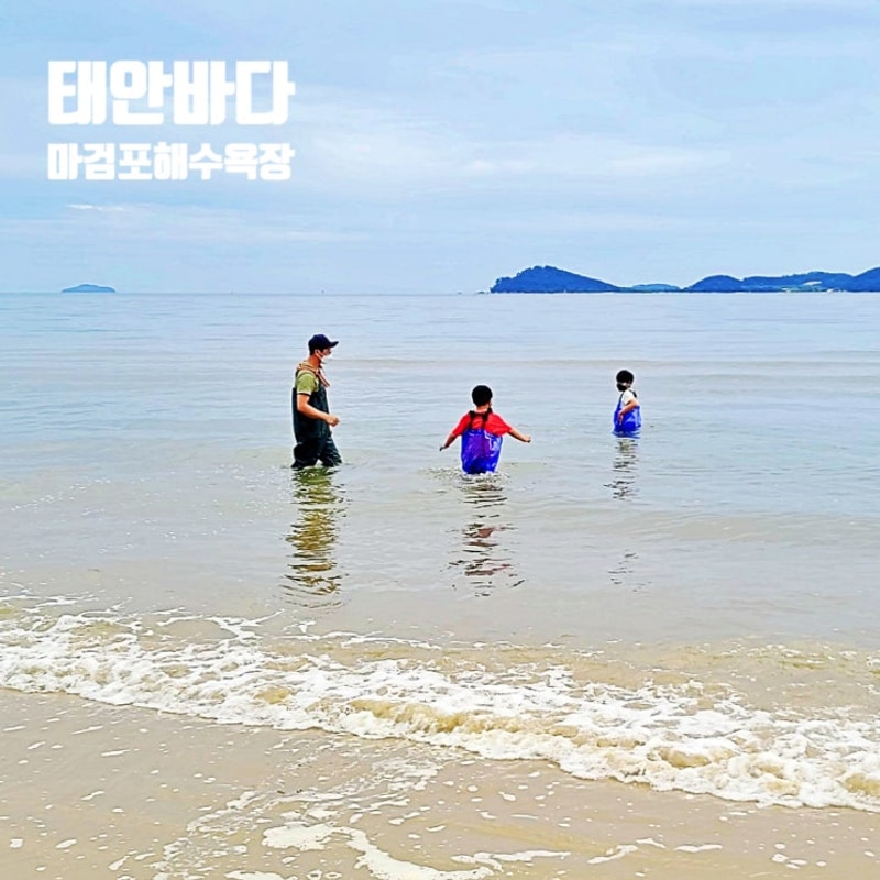태안 마검포 해수욕장 해루질 맛조개 태안 바다 여행 캠핑장 후기