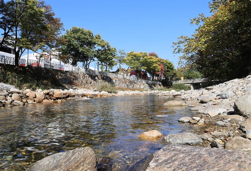 알프스펜션 캠핑&글램핑 시설 사진 10