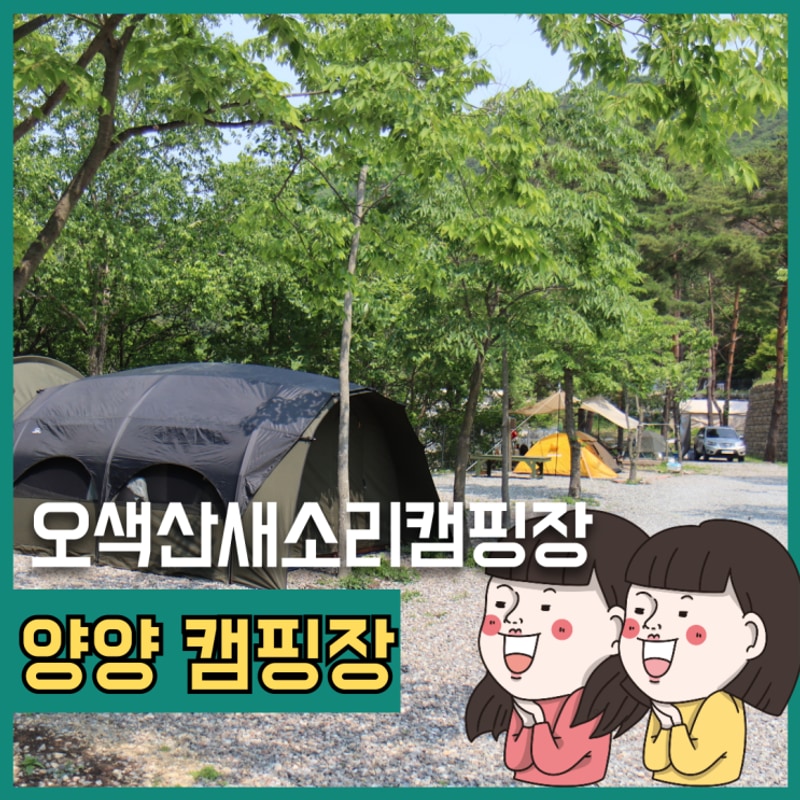양양 캠핑장 애견동반 오색산새소리캠핑장 강아지와 함께한...