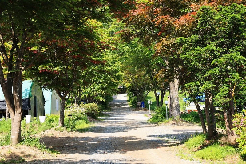 숲에서 놀자 시설 사진 14