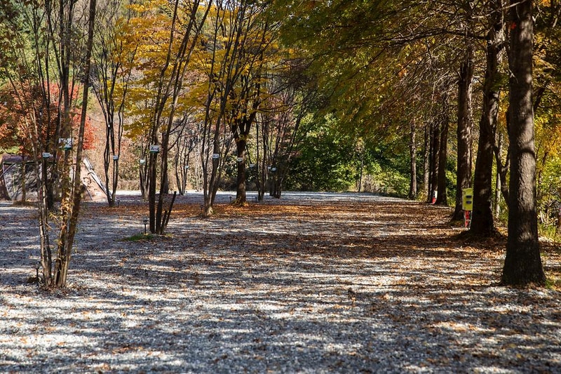 깊이울 달빛 캠핑장 시설 사진 14