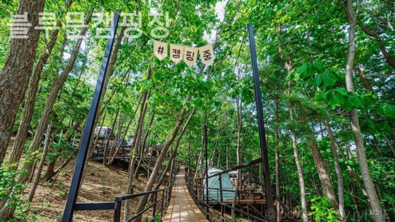 가평 캠핑장 블루문캠핑장 당일치기 추천