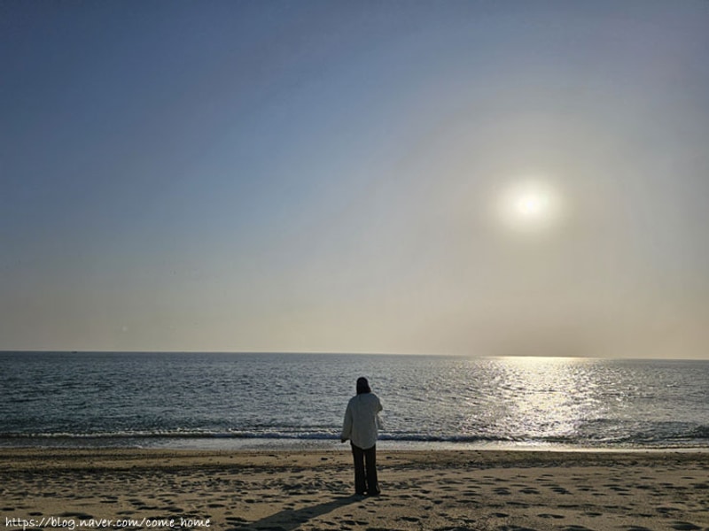 울진 염전해변캠핑장 _ 오토캠핑 12번