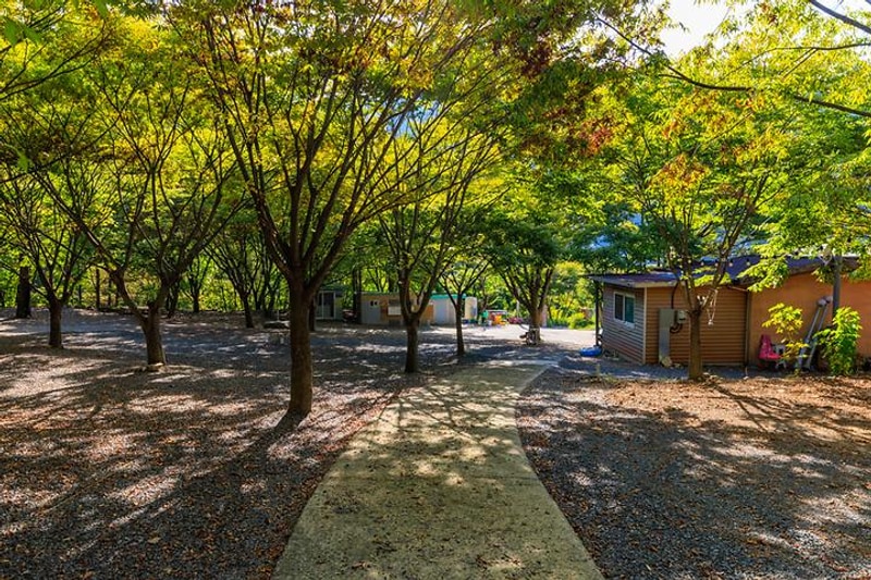 약초농원 캠핑장 대표 사진