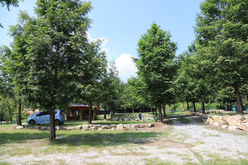 치악신림오토캠핑장 대표 사진