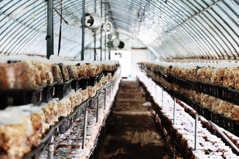 고성 탑 글램핑 농원 시설 사진 8