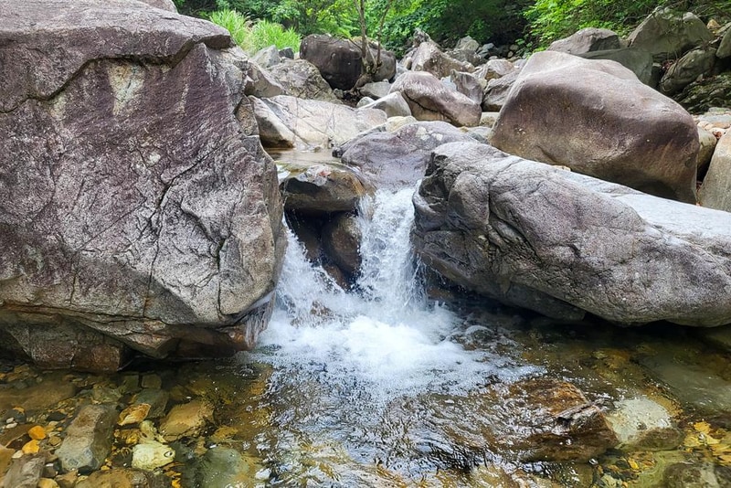 약초농원 캠핑장 시설 사진 5