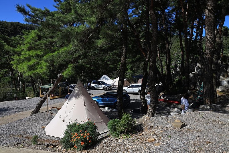 영월한반도캠핑장 시설 사진 12