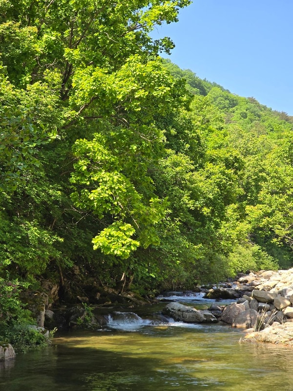 평창 별내림계곡캠핑장 시설 사진 18