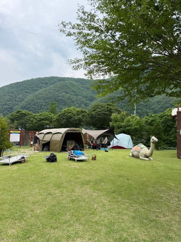 강원도 영월 에이미캠핑장 A-0 두가족 사이트