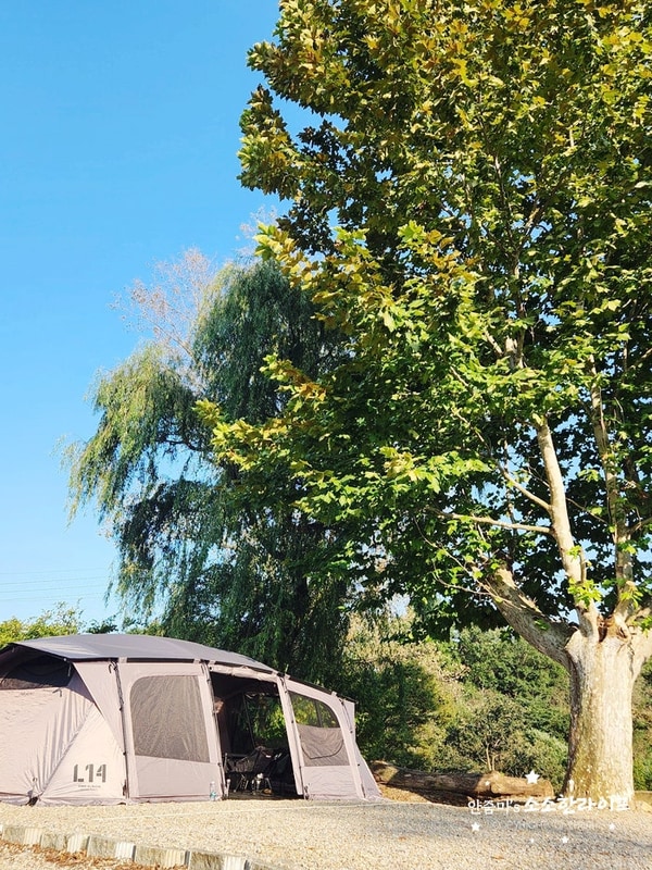 캠핑일기 #28 울진캠핑장 퀘렌시아펜션(카즈미 알비온)