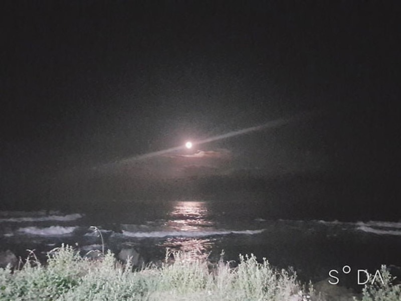 유니의바다 카라반캠핑장 시설 사진 60