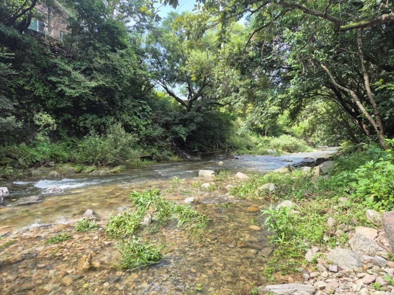 한여름의 가평 이지캠핑장