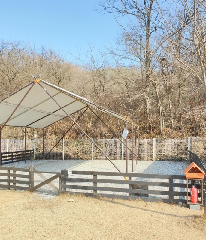 루파니애견캠핑장 시설 사진 15