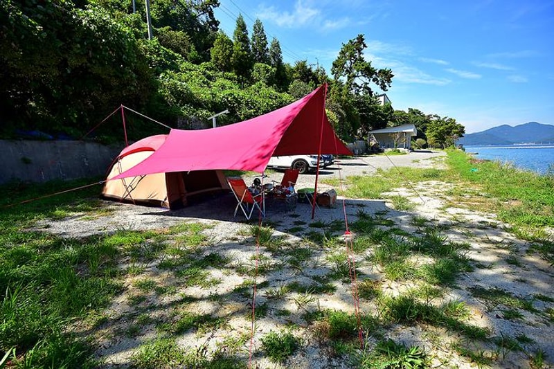 타이거스피드 안녕오토캠핑장 대표 사진