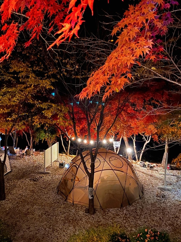 봉화별캠핑장 시설 사진 5