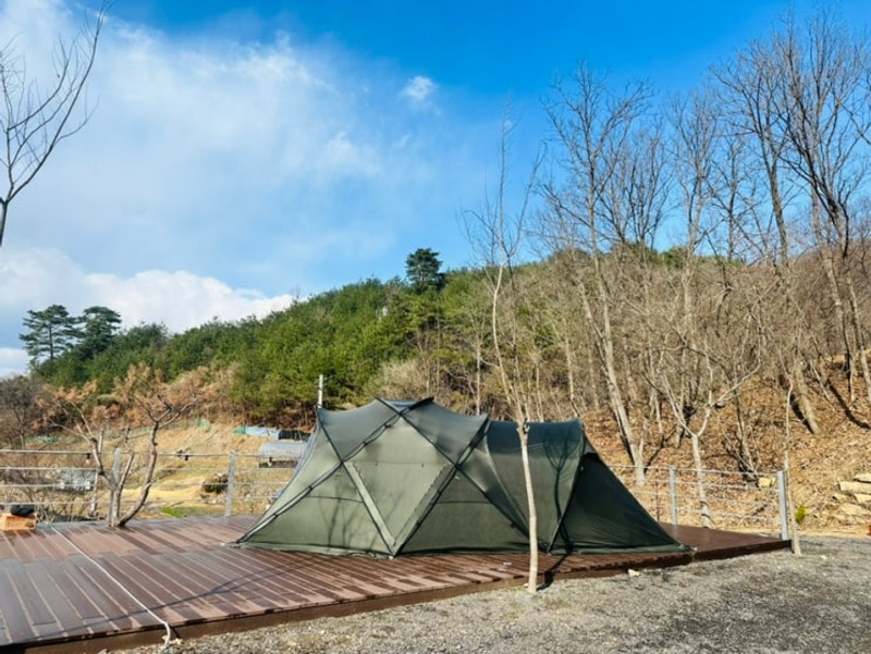 오도치캠핑장 홍천 애견 동반 캠핑장 명당부터 구역별 자세한...