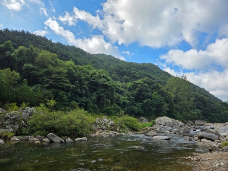 무주 반딧골캠핑장, 올 가을 첫 가족 캠핑 후기