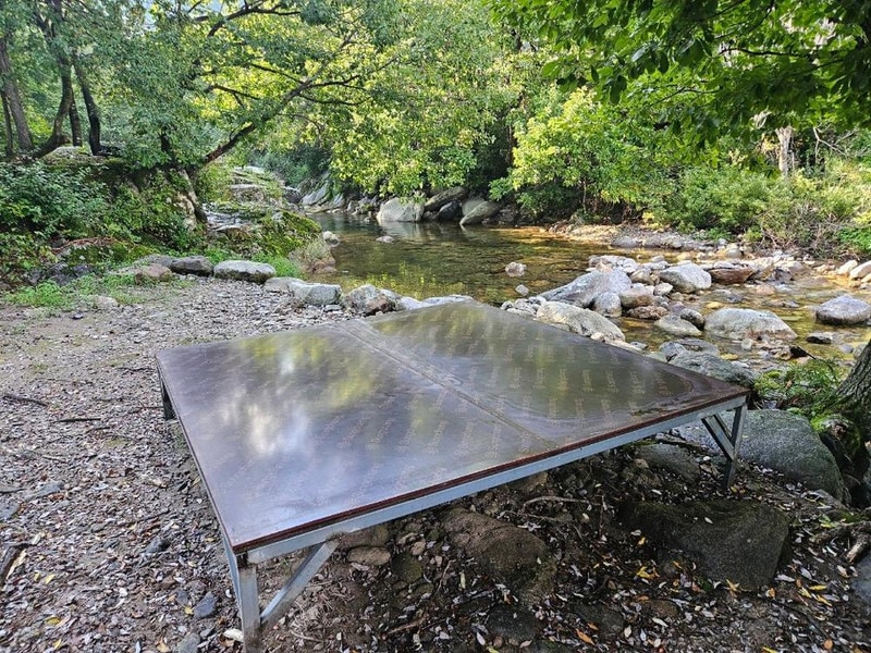 월성자연캠핑야영장 시설 사진 1