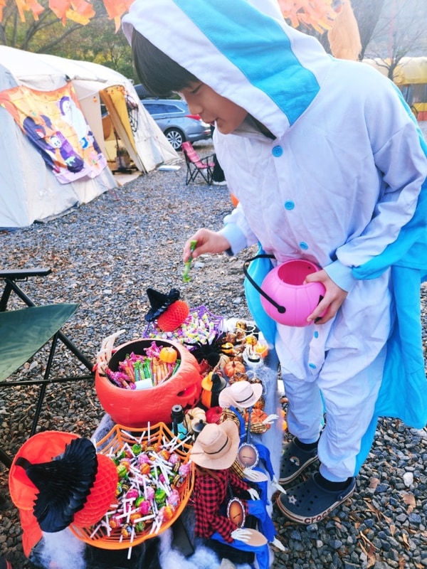 [경남 아이와 캠핑] 밀양표충오토캠핑장 채송화사이트