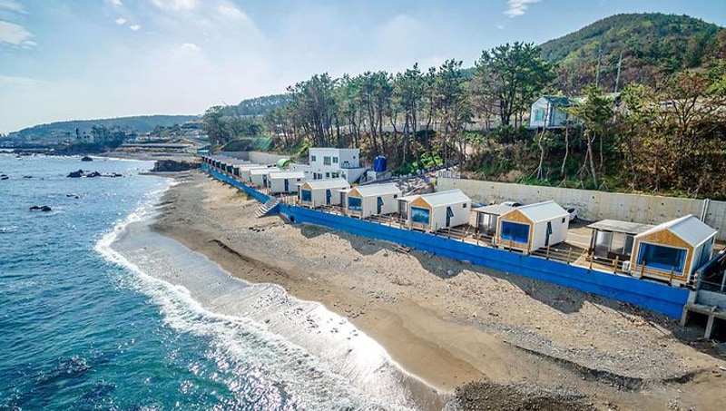 블루밍 대표 사진