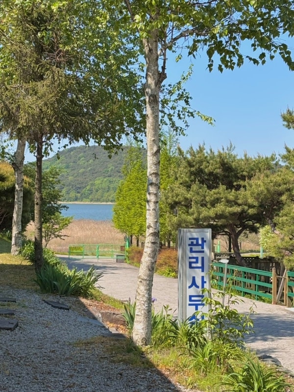 [보령] 스칸디캠프팜 | 잔디존 캠핑, 사이트 넓은 북유럽 감성...