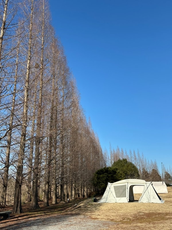 서산 '삼원레저타운' | 대형견 동반 동계 캠핑